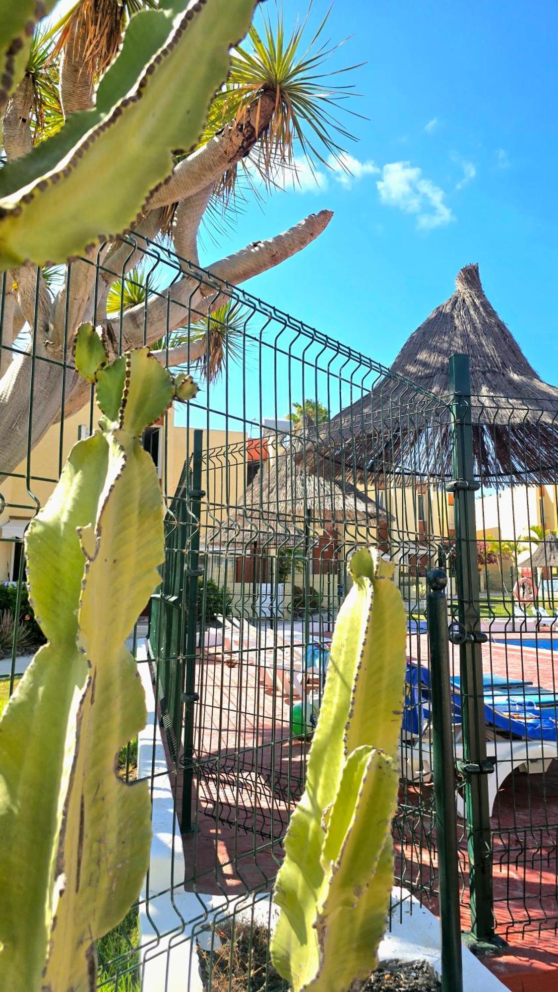 Dream Holiday Las Americas Playa de las Americas  Exterior photo